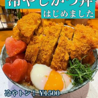 他にはないけど ぜったい満足出来る美味しいさ 冷やしかつ丼「…