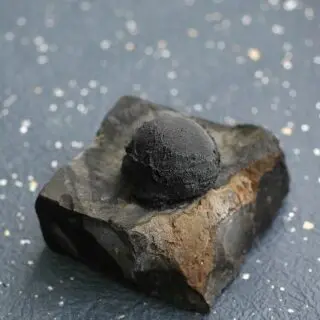 CHIYO CAFE 日本のアイスクリームと日本一大きなとんかつおにぎり 心斎橋PARCO店